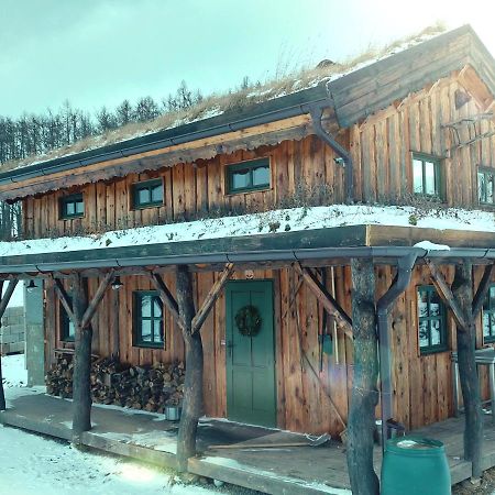 Chalet Boruvka - Biofarma Na Samote V Lesich Benešov Kültér fotó