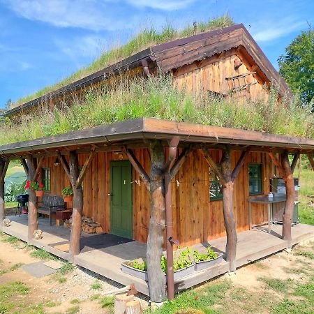 Chalet Boruvka - Biofarma Na Samote V Lesich Benešov Kültér fotó