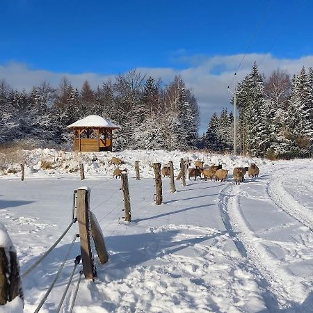 Chalet Boruvka - Biofarma Na Samote V Lesich Benešov Kültér fotó