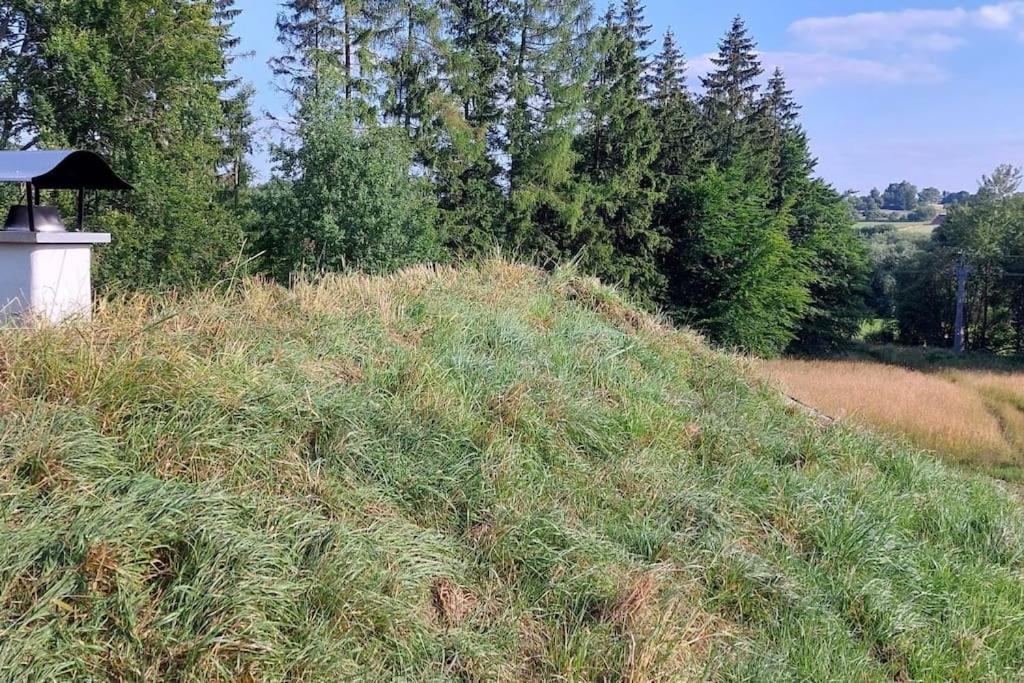 Chalet Boruvka - Biofarma Na Samote V Lesich Benešov Kültér fotó