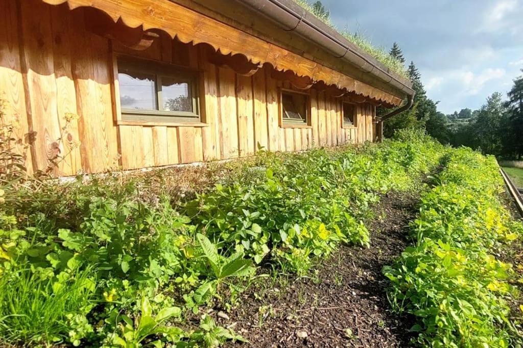 Chalet Boruvka - Biofarma Na Samote V Lesich Benešov Kültér fotó