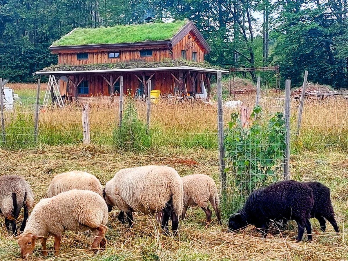 Chalet Boruvka - Biofarma Na Samote V Lesich Benešov Kültér fotó