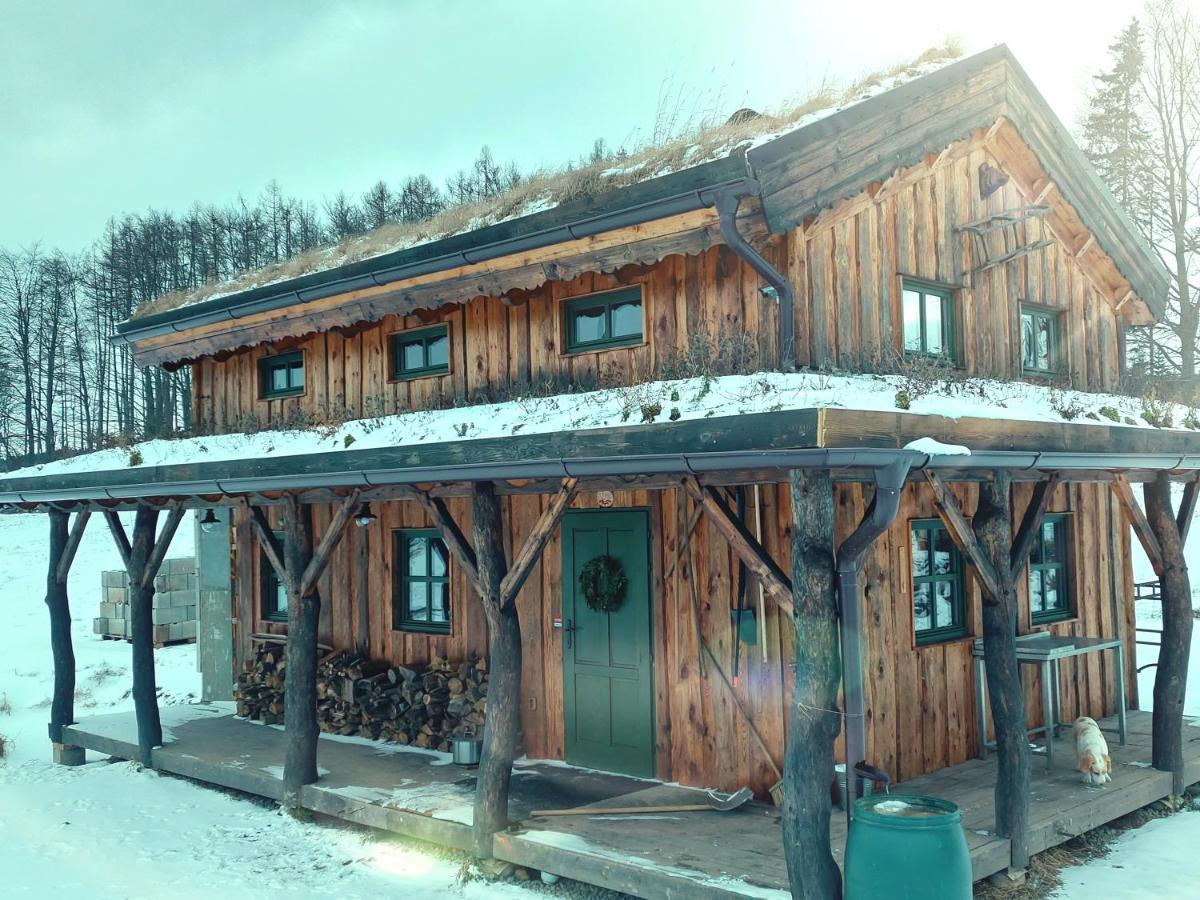 Chalet Boruvka - Biofarma Na Samote V Lesich Benešov Kültér fotó