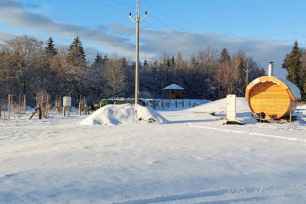Chalet Boruvka - Biofarma Na Samote V Lesich Benešov Kültér fotó