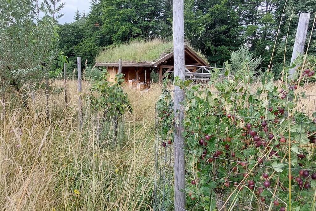 Chalet Boruvka - Biofarma Na Samote V Lesich Benešov Kültér fotó