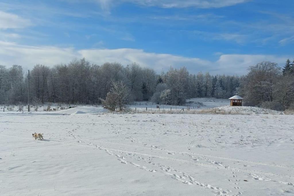 Chalet Boruvka - Biofarma Na Samote V Lesich Benešov Kültér fotó