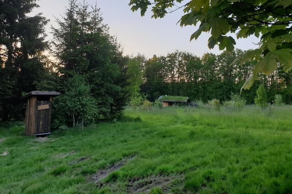 Chalet Boruvka - Biofarma Na Samote V Lesich Benešov Kültér fotó