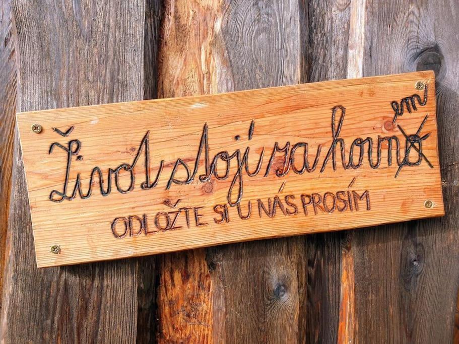 Chalet Boruvka - Biofarma Na Samote V Lesich Benešov Kültér fotó