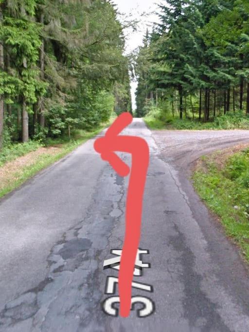 Chalet Boruvka - Biofarma Na Samote V Lesich Benešov Kültér fotó