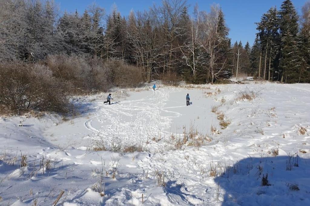 Chalet Boruvka - Biofarma Na Samote V Lesich Benešov Kültér fotó
