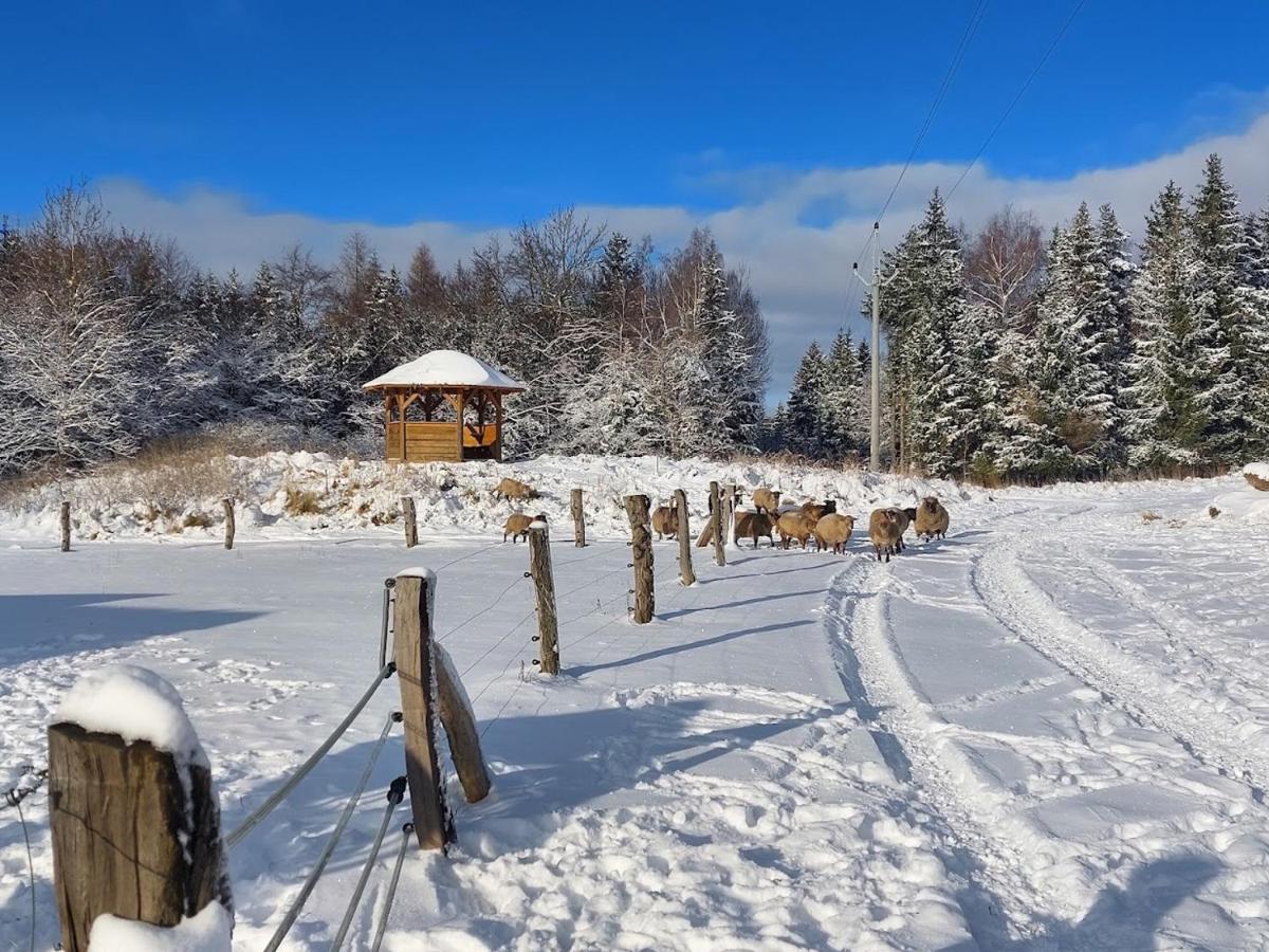 Chalet Boruvka - Biofarma Na Samote V Lesich Benešov Kültér fotó